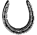 Equestrian Section